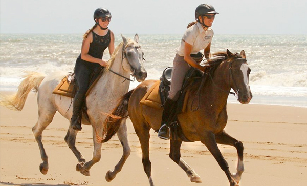 Horse Riding in St Lucia